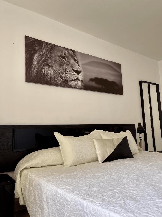 阿罗纳Exclusivo Apartamento En Playa De Las Americas公寓 外观 照片